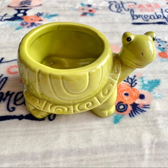 🐢 Turtle Succulent Planter 🐢 - Picture 2 of 6